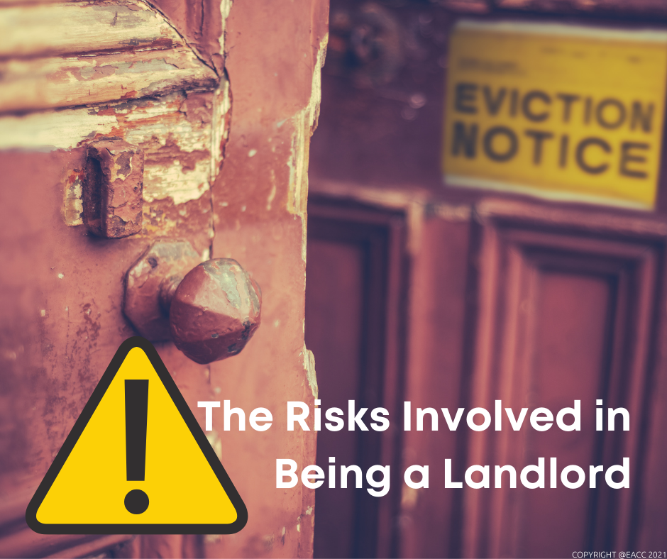 How to Avoid Common Risks as a New Forest Landlord