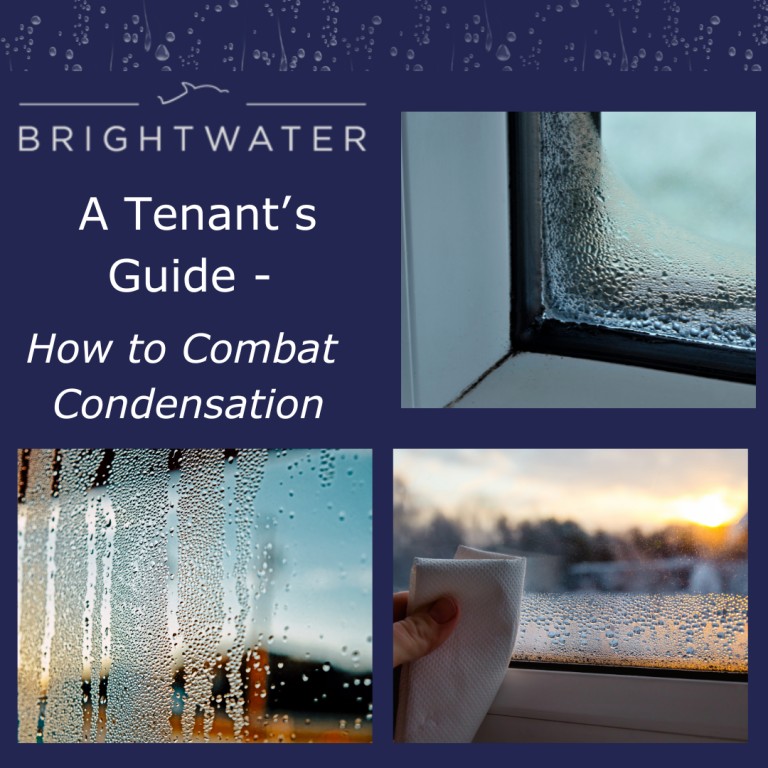 A Tenant’s Guide – How to Combat Condensation