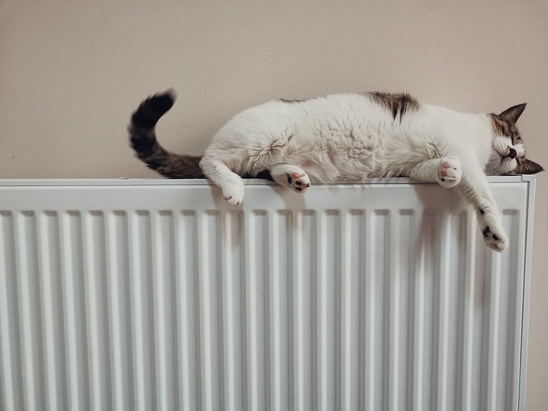 8 Ways Homeowners Can Reduce Their Heating Costs